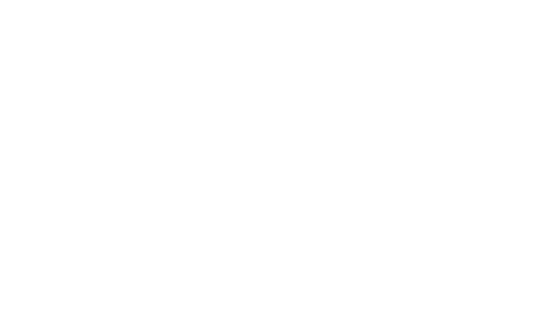 The Porters
